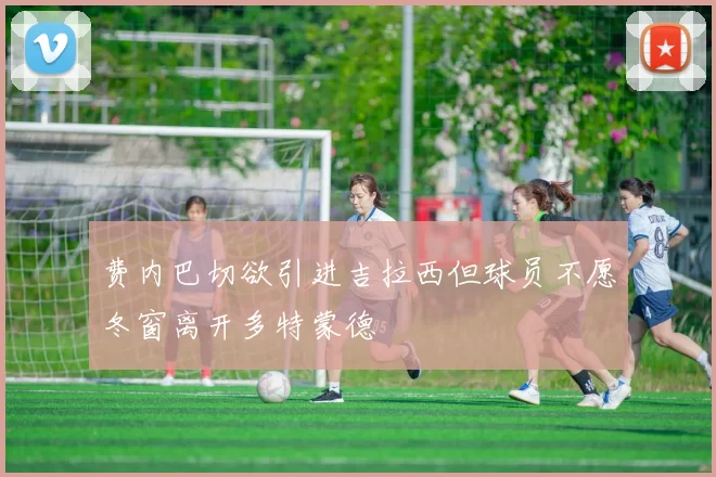 费内巴切欲引进吉拉西但球员不愿冬窗离开多特蒙德