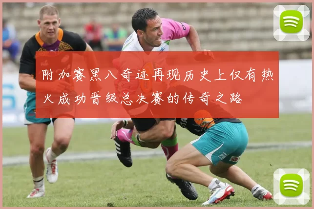 附加赛黑八奇迹再现历史上仅有热火成功晋级总决赛的传奇之路