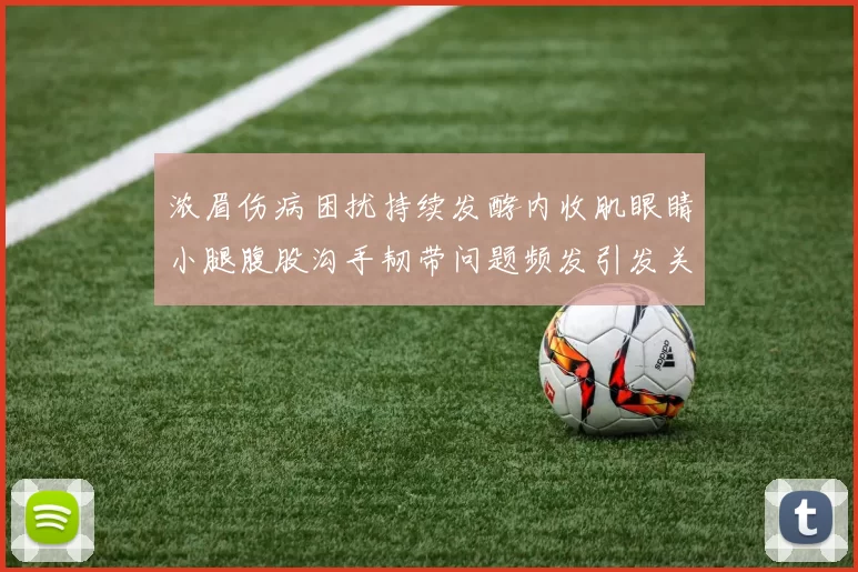 浓眉伤病困扰持续发酵内收肌眼睛小腿腹股沟手韧带问题频发引发关注